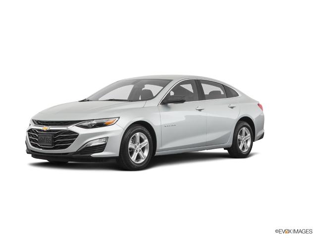 2019 Chevrolet Malibu Vehicle Photo in INDEPENDENCE, MO 64055-1314