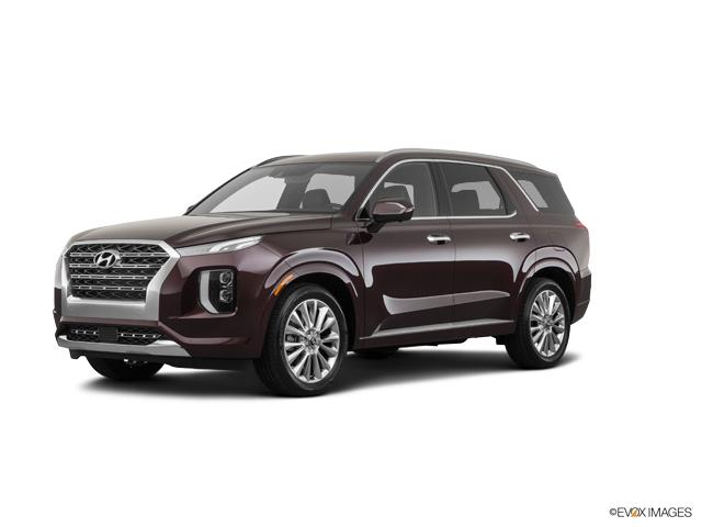 2020 Hyundai PALISADE Vehicle Photo in BEAUFORT, SC 29906-4218