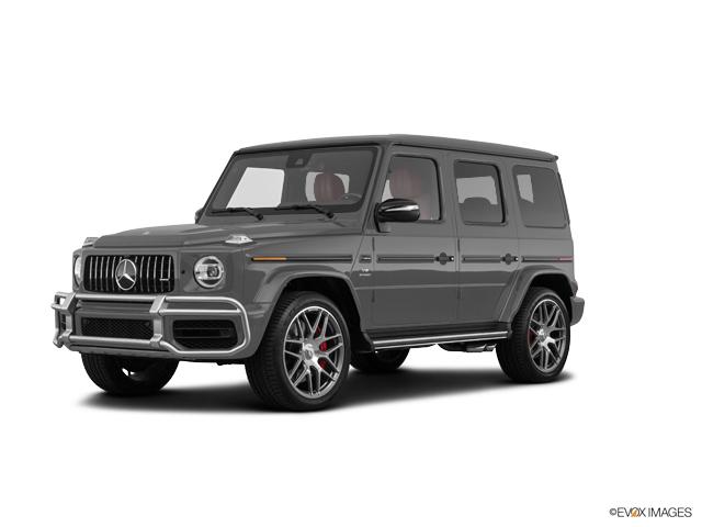 2019 Mercedes-Benz G-Class Vehicle Photo in BETHLEHEM, PA 18017-9401