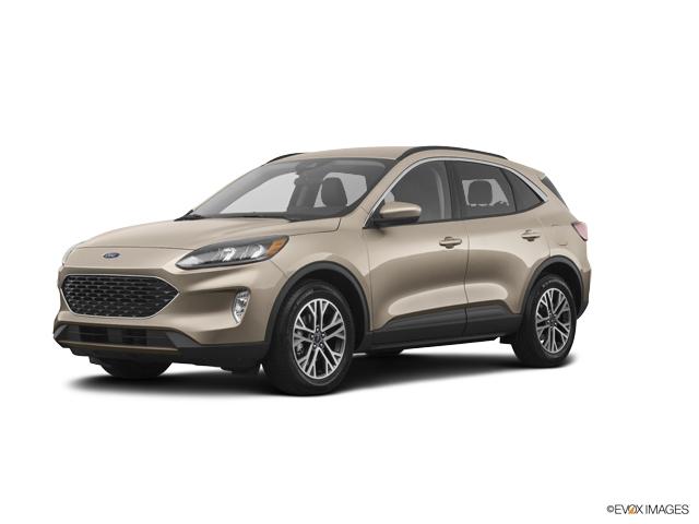 2020 Ford Escape Vehicle Photo in Lees Summit, MO 64086