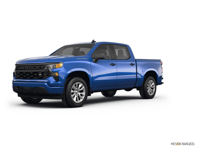 2022 Chevrolet Silverado 1500 Vehicle Photo in BEAUFORT, SC 29906-4218