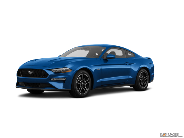 2023 Ford Mustang Vehicle Photo in Easton, PA 18045