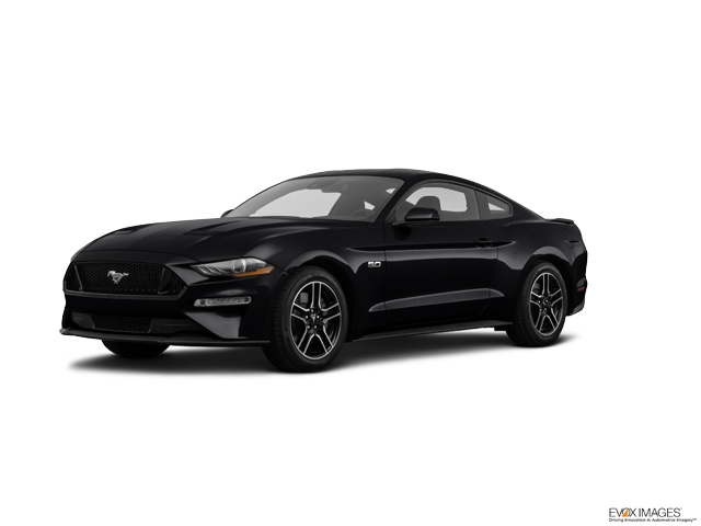 2023 Ford Mustang Vehicle Photo in Lees Summit, MO 64086