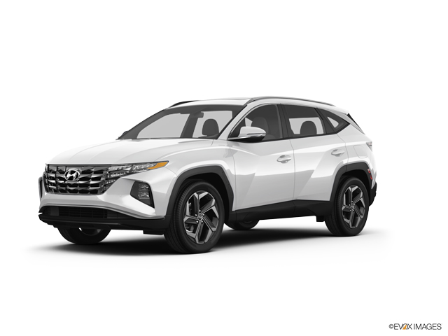 2024 Hyundai TUCSON Vehicle Photo in Lees Summit, MO 64086