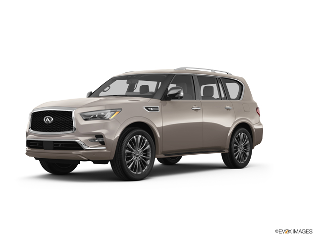 2024 INFINITI QX80 Vehicle Photo in Willow Grove, PA 19090