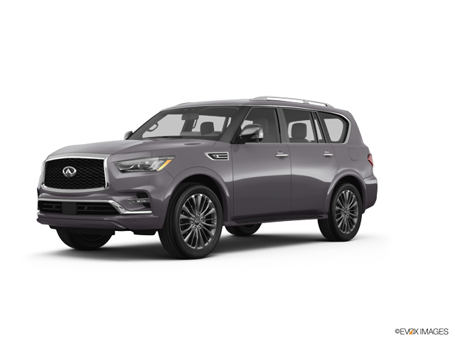 2024 INFINITI QX80 Vehicle Photo in Willow Grove, PA 19090