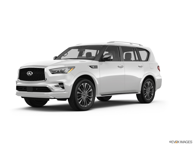 2024 INFINITI QX80 Vehicle Photo in Willow Grove, PA 19090