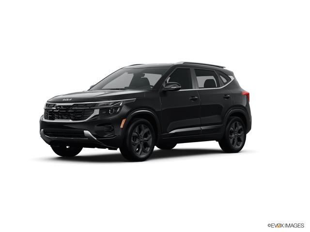 2024 Kia Seltos Vehicle Photo in Lees Summit, MO 64086
