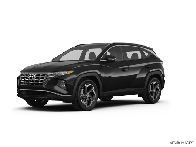 2024 Hyundai TUCSON Vehicle Photo in BEAUFORT, SC 29906-4218