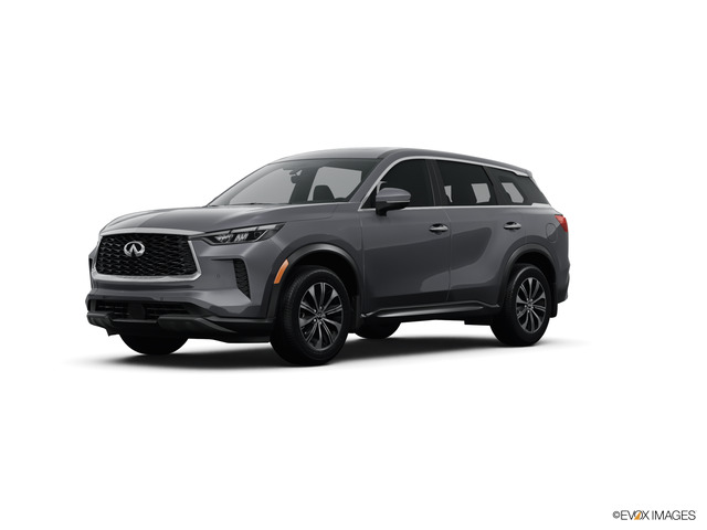 2024 INFINITI QX60 Vehicle Photo in Bluffton, SC 29910