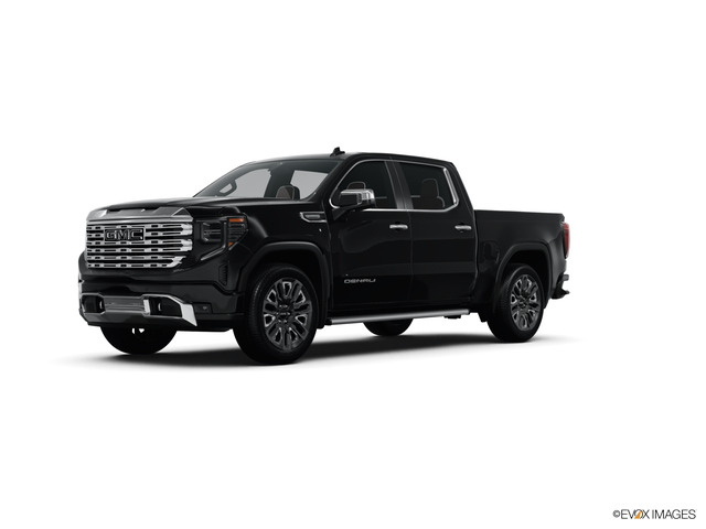 2024 GMC Sierra 1500 Vehicle Photo in SAVANNAH, GA 31406-4513