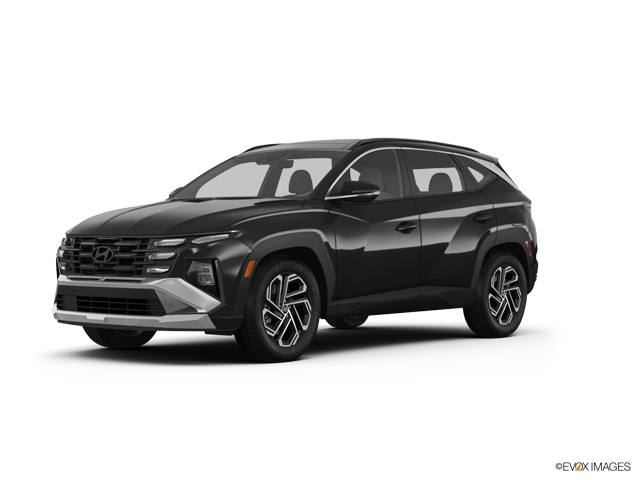 2025 Hyundai TUCSON Vehicle Photo in Statesboro, GA 30458
