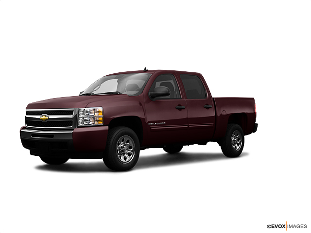 2009 Chevrolet Silverado 1500 2GCEK13CX91114813