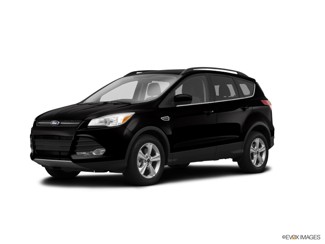 2014 Ford Escape Vehicle Photo in Lees Summit, MO 64086