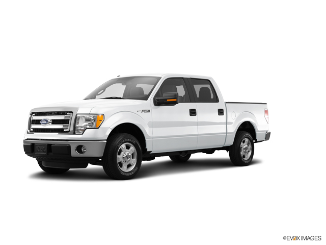 2014 Ford F-150 Vehicle Photo in INDEPENDENCE, MO 64055-1377