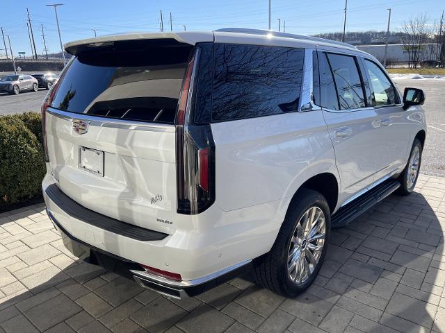 new 2021 Cadillac Escalade car