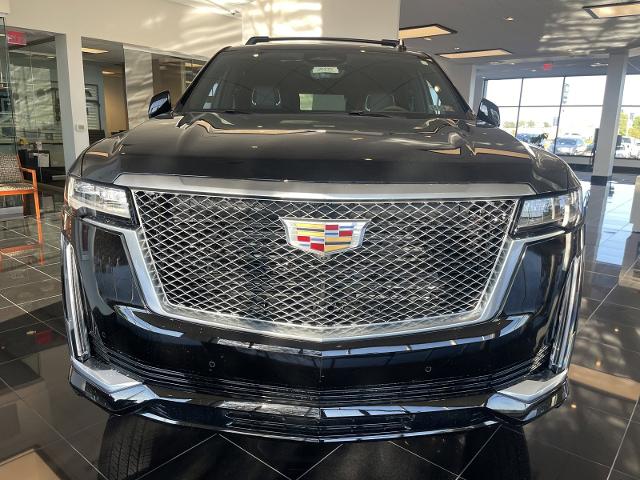 used 2024 Cadillac Escalade car, priced at $99,460