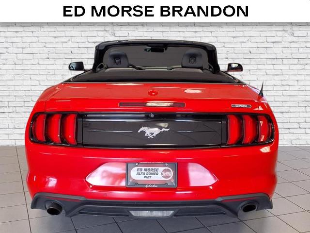 new 2022 Ford Mustang car, priced at $23,698