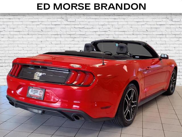 new 2022 Ford Mustang car, priced at $23,698