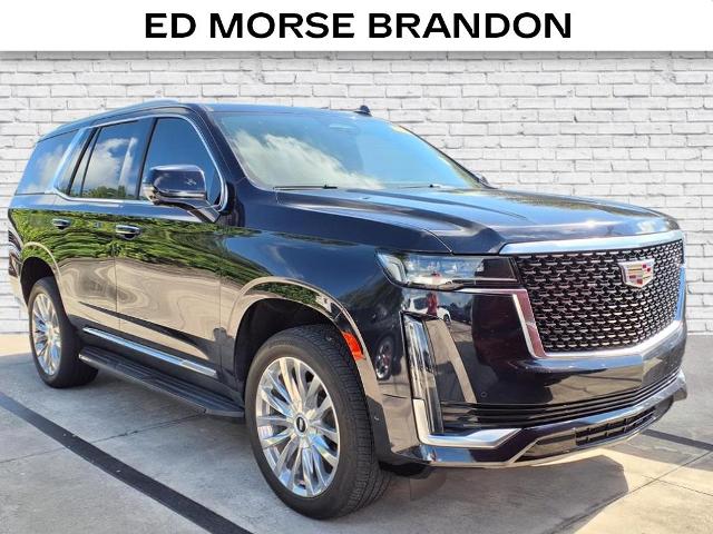 new 2023 Cadillac Escalade car
