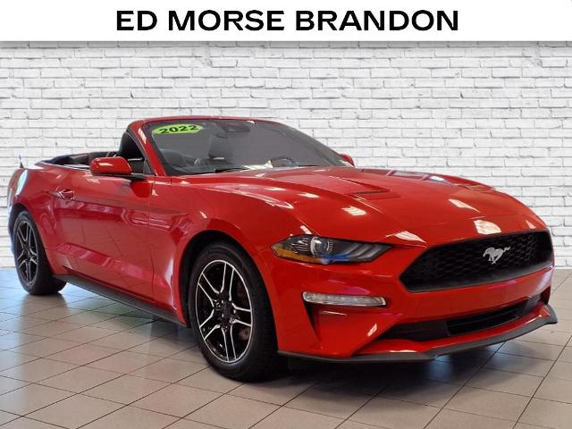 new 2022 Ford Mustang car, priced at $23,698