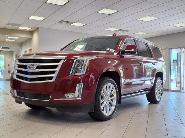 new 2019 Cadillac Escalade car, priced at $41,667